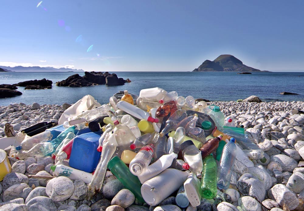 Marine plastic macro-litter will gradually become microplastics and ultimately nanoplastics.