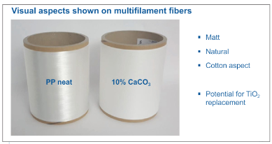 CaCO3 in PP fibers gives a white/matt visual appearance