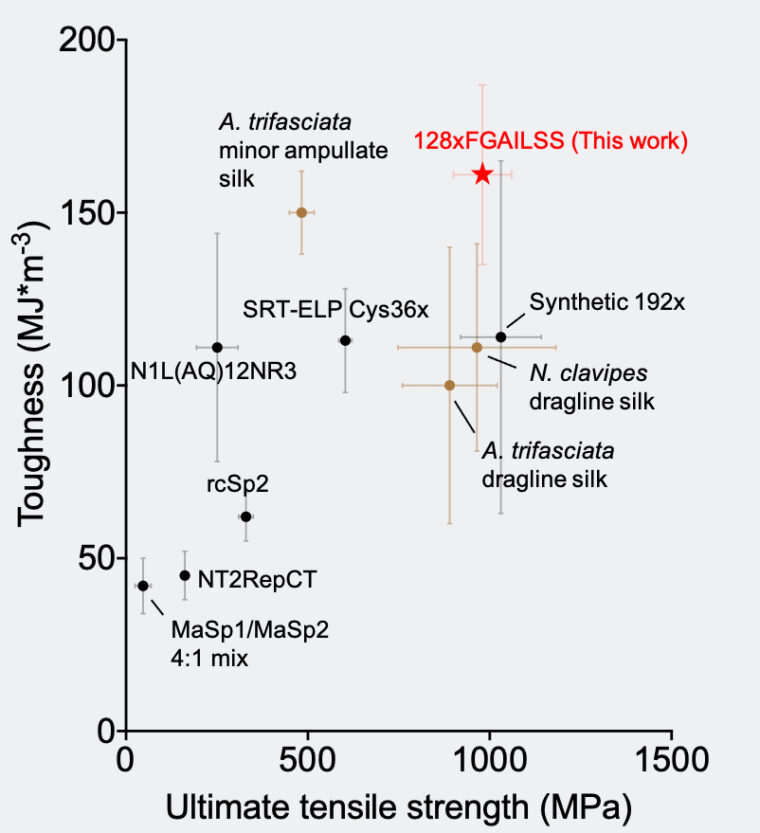 Chart compares the toughness and strength of different natural and recombinant silk fibers