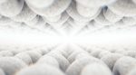 IFJ Movers & Shakers - Textile Fiber Industry Updates