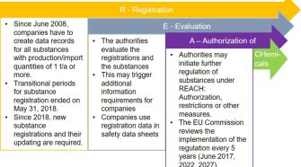 REACH regulation summary