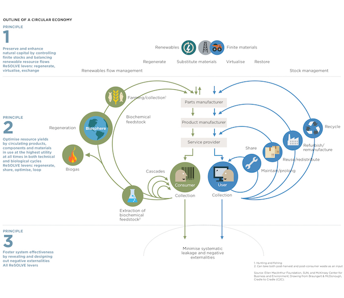 Circular Economy Infographic