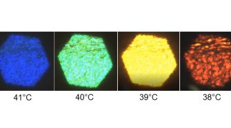 Polarized light microscopy of liquid crystal