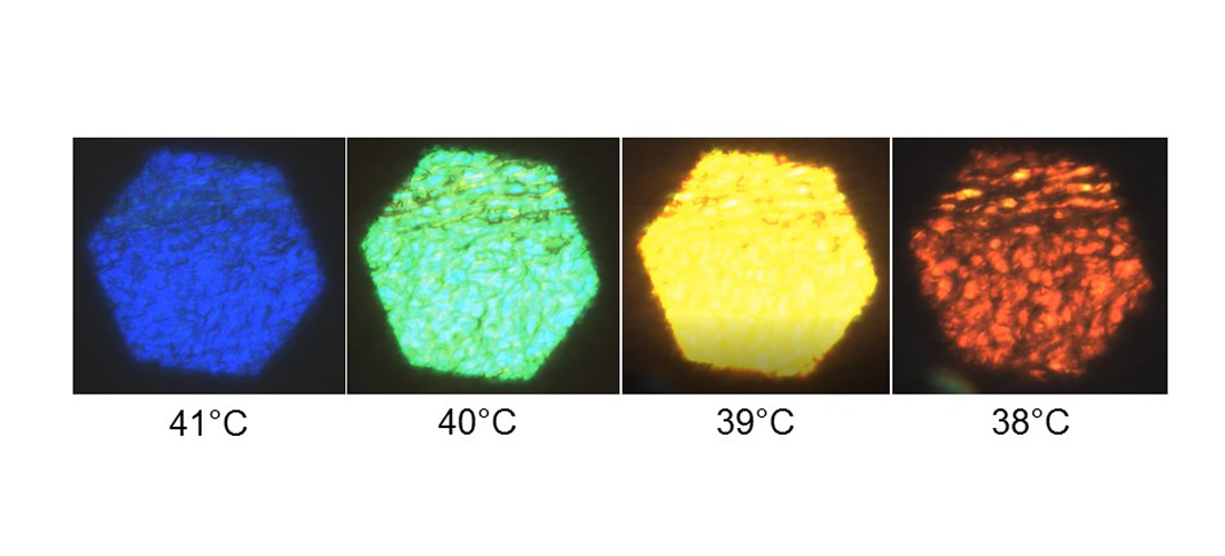 Polarized light microscopy of liquid crystal