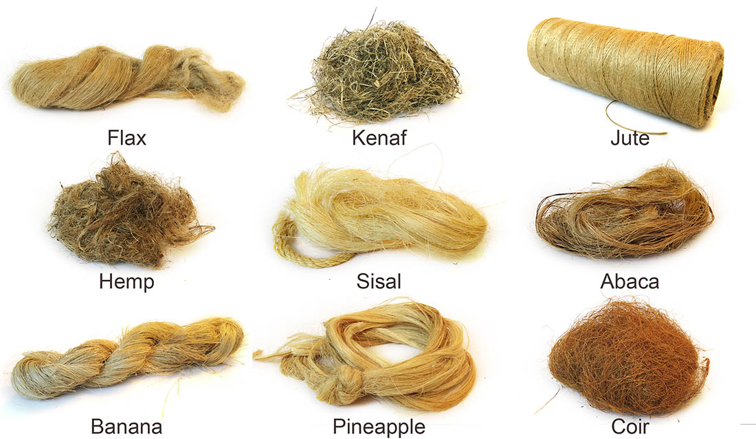 Figure 3. Most of the natural fiber reinforcements are fruit and vegetable fibers, specifically, bast, leaf and fruit fibers. Photo courtesy of Mohamad Midani