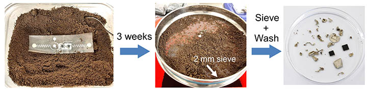 Left: A fully assembled ECG device at the beginning of the soil degradation test. Center: The disintegrated device after three weeks of burial. Right: The recovered electronic components after sieving the soil with a 2 mm mesh.  