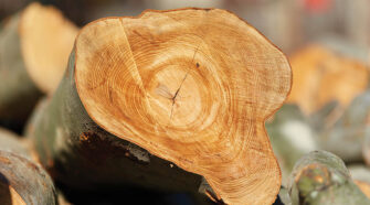 Beechwood can be used in the production of bio-based chemicals to create man-made fibers.