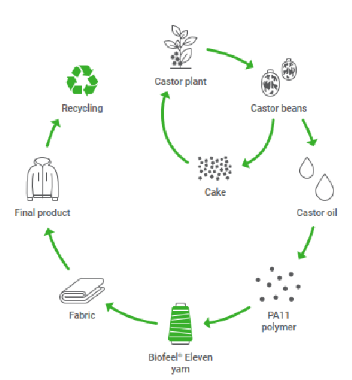 Lifecycle of Biofeel Eleven