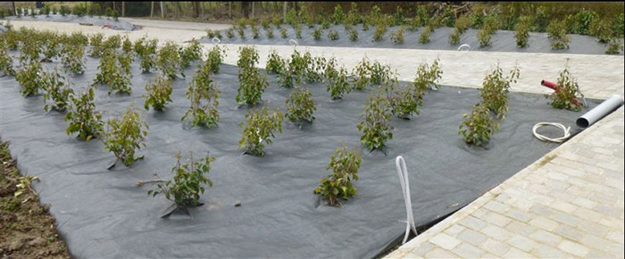 Landscape fabric for weed control