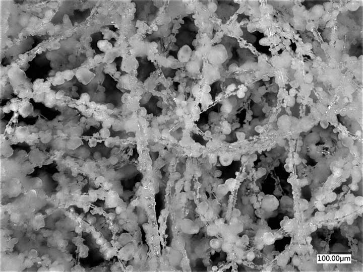 Light microscope photo of zirconium hydroxide particles adhered to the surface of a polyester/ polyethylene terephthalate nonwoven fabric, after washing. Particle remained adhered to the fabric.