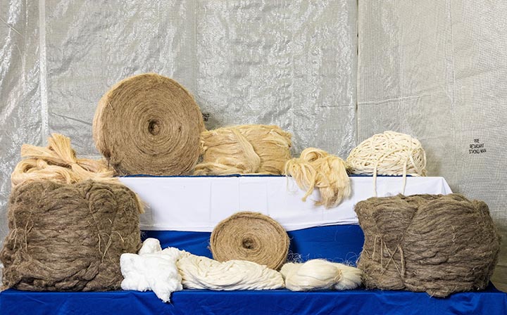 Biobased fibers. Photo courtesy MINIFibers