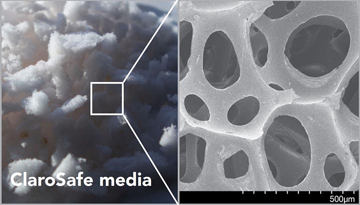 A microscopic view of the ClaroSafe PFAS media shows the intricacy of the matrix that captures PFAS molecules.