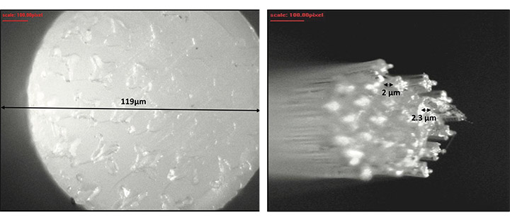 Figure 3. Islands-in-the-sea bicomponent fiber with biobased water soluble polymer as sea and biobased PLA as islands (left), and PLA fibers after dissolution of water soluble polymer (right).  Hills Inc.