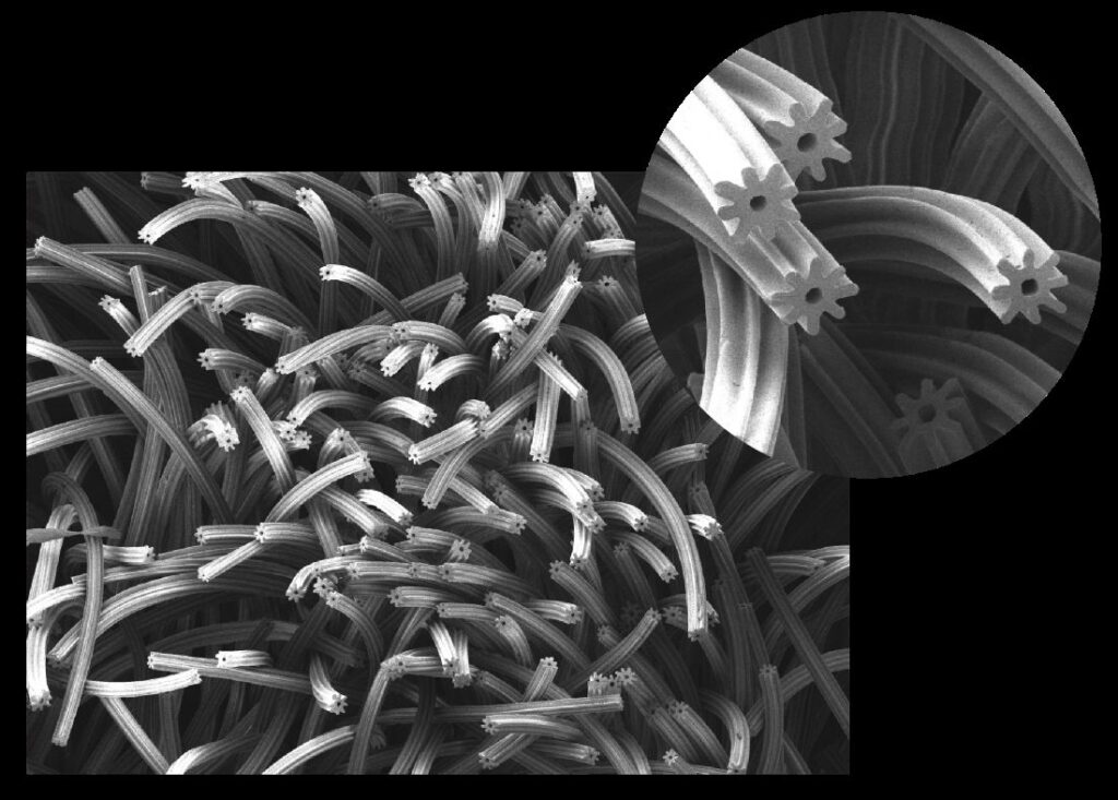 Cross section of OCTAIR™