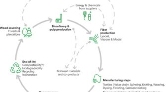 The Value Supply Chain (Source: https://www.lenzing.com/sustainability/partnerships)