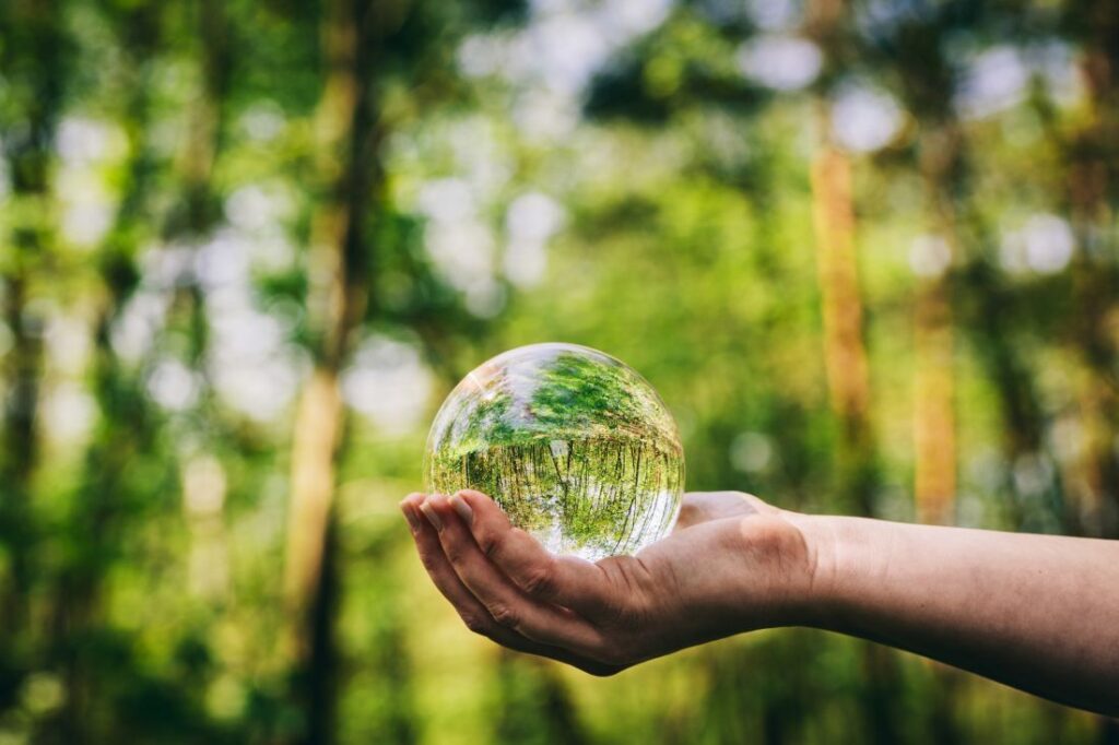 Nonwovenn sustainability initiatives