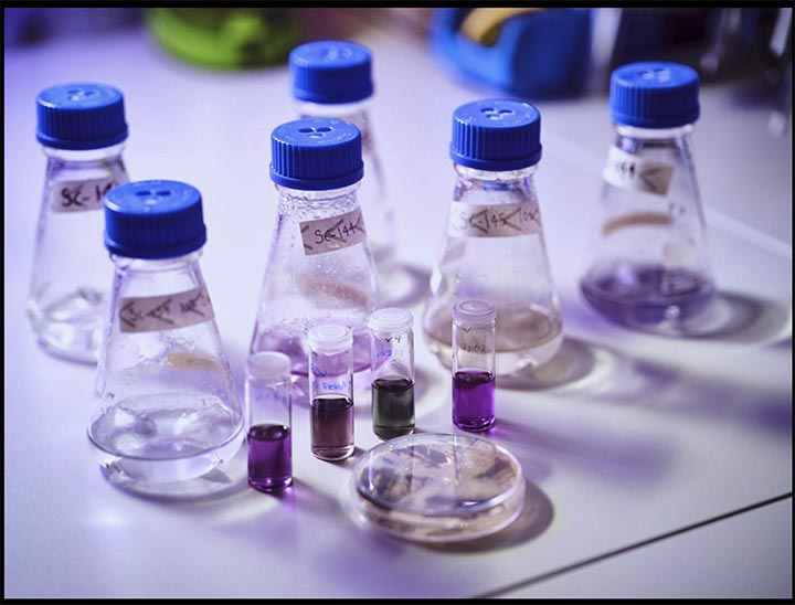 Octarine Bio produces bio-based colors using a proprietary precision fermentation process.