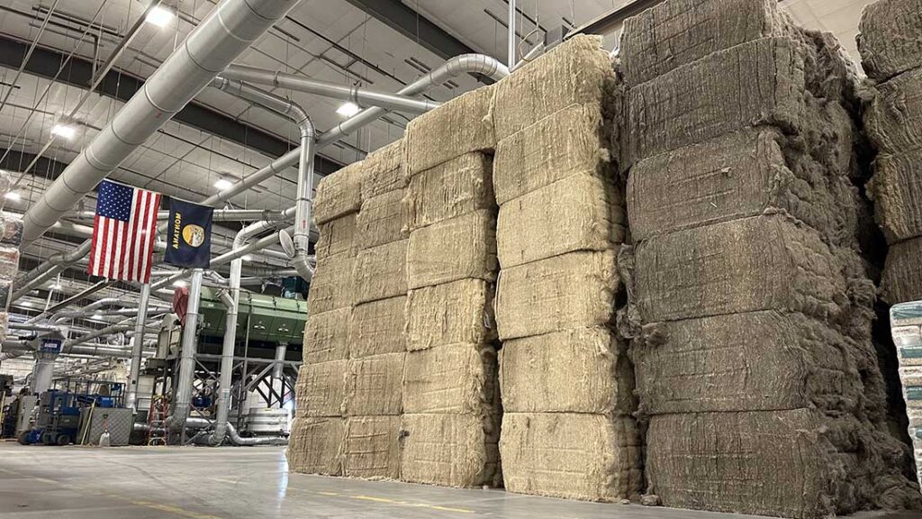 Bales of harvested industrial hemp.