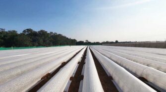 Revolutionizing crop protection through the use of nonwoven fabrics.