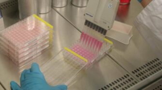 Cell seeding of host cells to determine the number of viruses. Photo courtesy of DITF