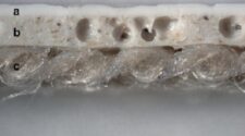 Figure 1: Desserto (Plant-Polymer Hybrid)2. A microscope image of Desserto shows (a) the top polymeric coating, (b) the foamed polyurethane polymer and natural material layer and (c) textile support, which is a nonwoven made of pineapple leaves/natural fibers.