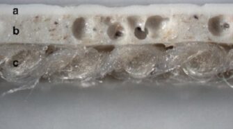 Figure 1: Desserto (Plant-Polymer Hybrid)2. A microscope image of Desserto shows (a) the top polymeric coating, (b) the foamed polyurethane polymer and natural material layer and (c) textile support, which is a nonwoven made of pineapple leaves/natural fibers.