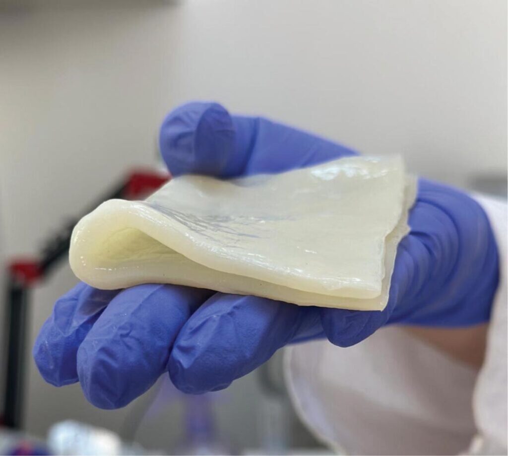 Biofabricated leather