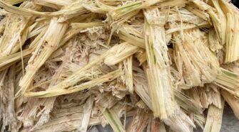 Agricultural waste streams across Africa offer promising fiber sources for nonwovens.