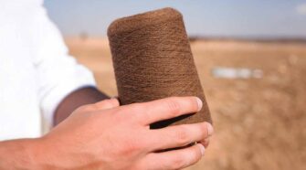 Arabian camel hair from the world's deserts has been an overlooked resource for fiber.