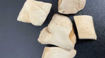 Figure 3: Biofabricated Mycelium Foam.