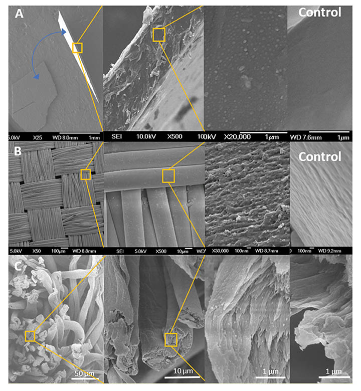 Figure 2. SEM images of plastic nanocomposites produced with “in situ growth” process. (A) Zinc-polyurethane nanocomposite film. The blue arrows show two pieces of the nanocomposite thin film. Image amplification at the film cross-section shows the presence of zinc nanoparticles inside the film. (B) Zinc-nylon nanocomposite showing zinc nanoparticles embedded with the nylon fibers. (C) Silver-polyester/cotton nanocomposite.