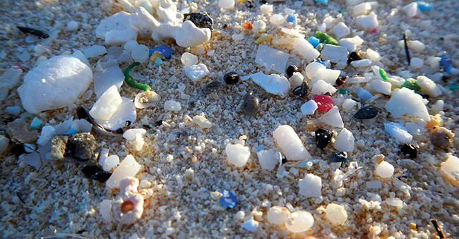 Microplastics are small plastic pieces less than 5 mm long that can be harmful to oceans and aquatic life.
